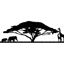 afrique 2
