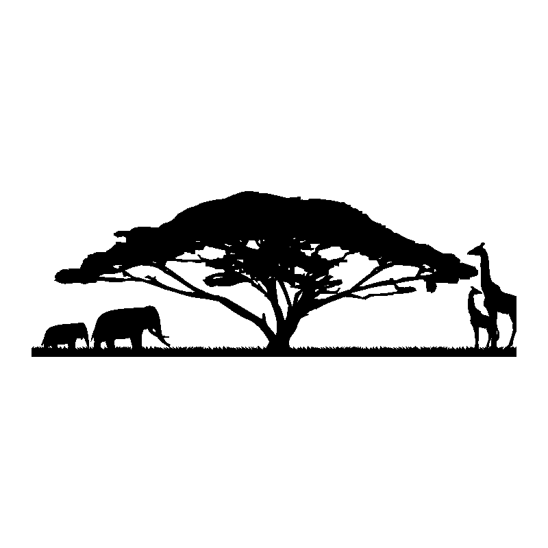 afrique 2