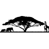 afrique 2