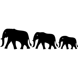 elephants