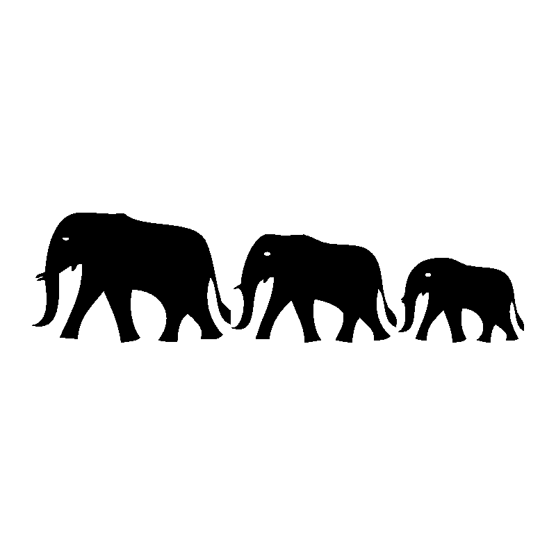 elephants