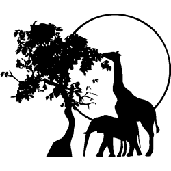 afrique