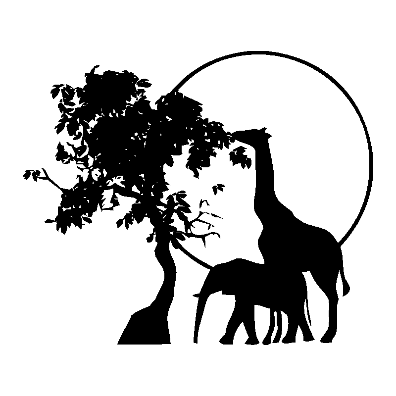 afrique