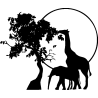 afrique