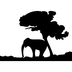 afrique