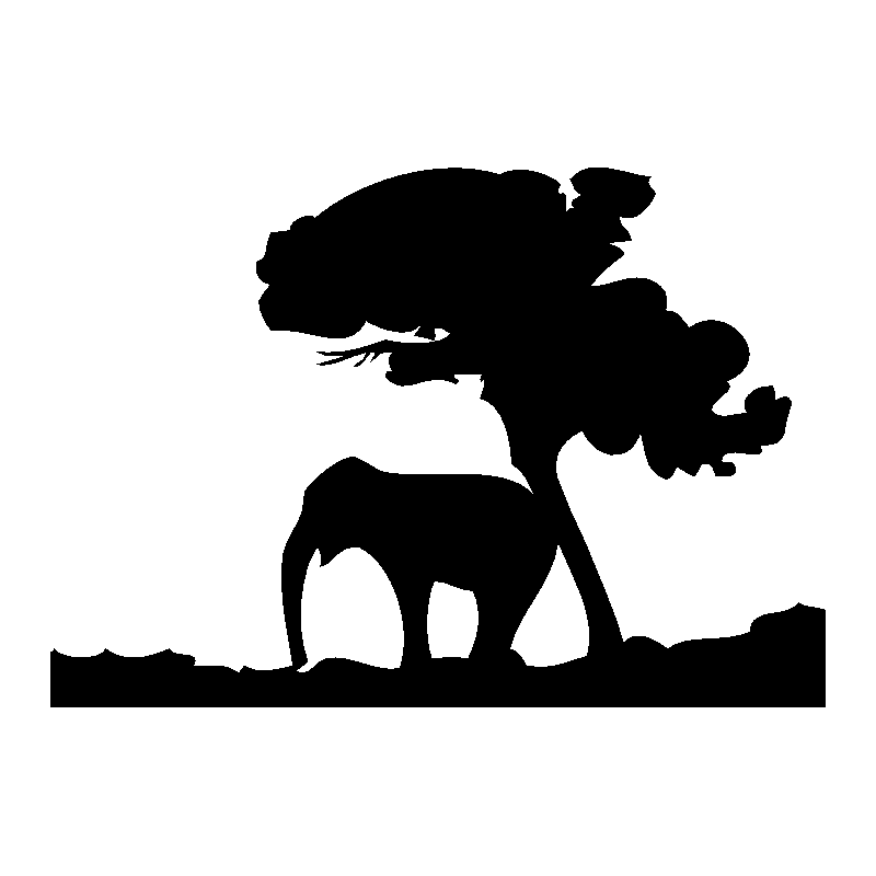 afrique