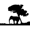 afrique