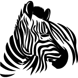 zebre
