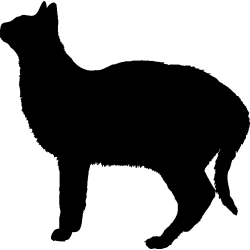 lama