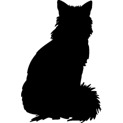 chat2