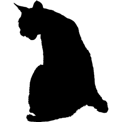 chat3