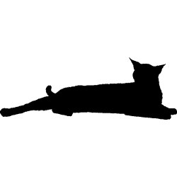 chat5