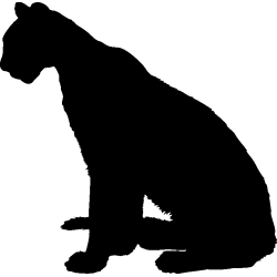 chat6
