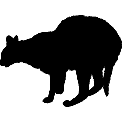 chat8