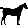 cheval2