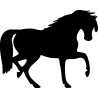cheval3