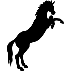 cheval4