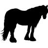 cheval8