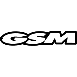 GSM