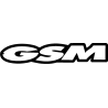 GSM