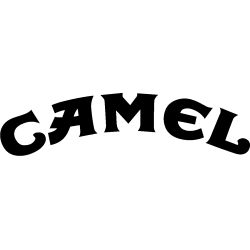 Camel