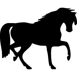 cheval26