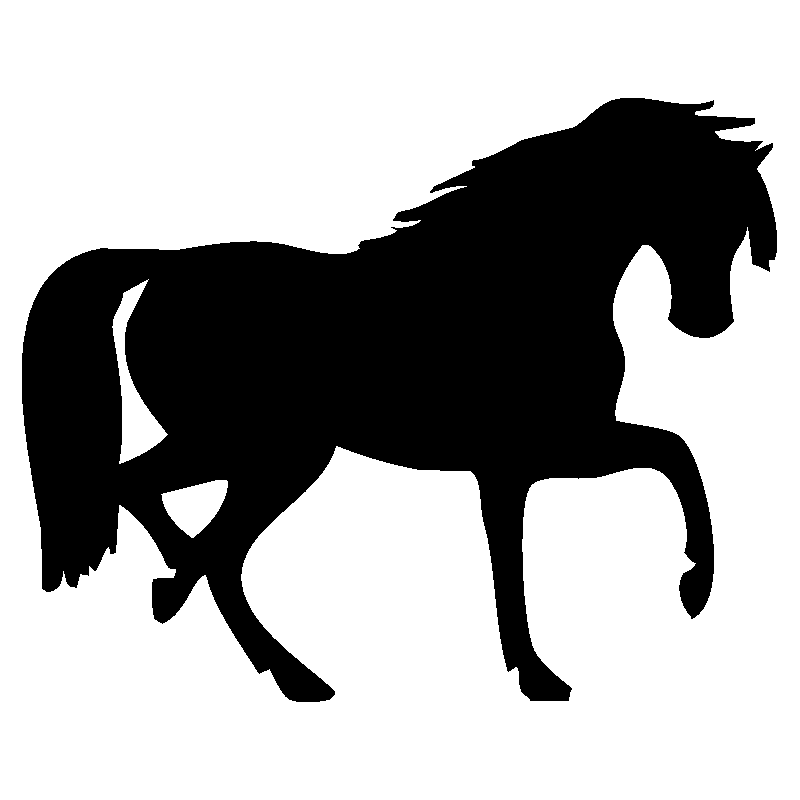 cheval26