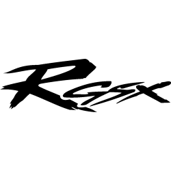 Suzuki motorsport