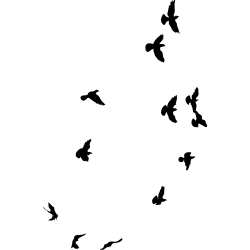nuée
