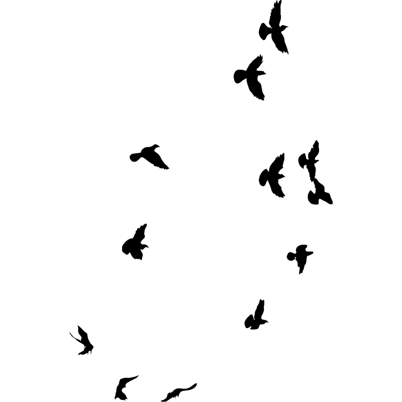 nuée