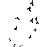 nuée