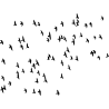 nuée