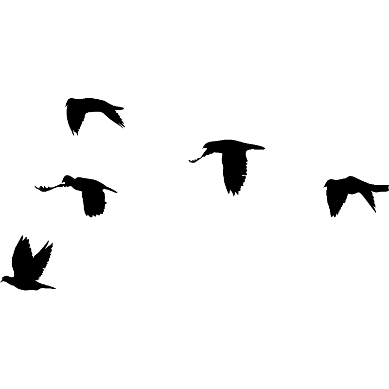 nuée