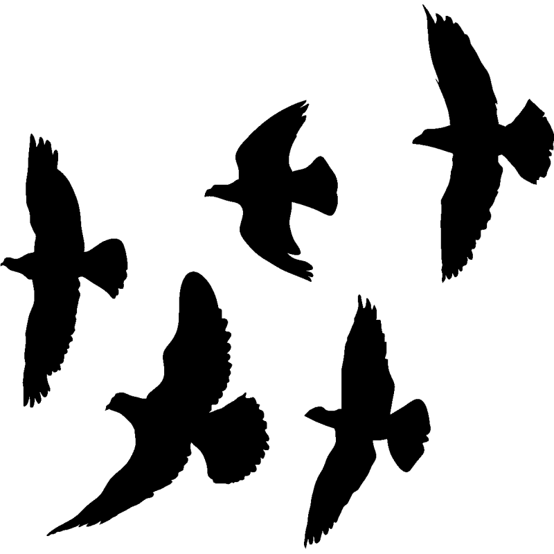 nuée