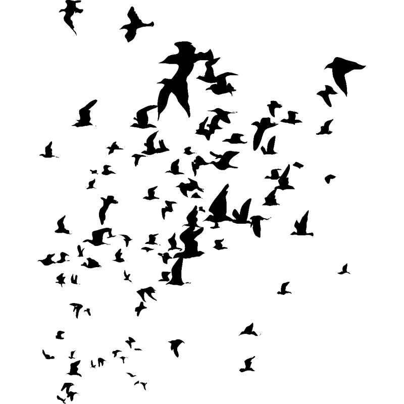 nuée