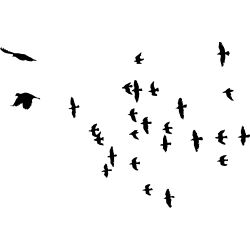 nuée