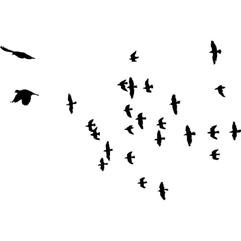 nuée