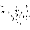 nuée