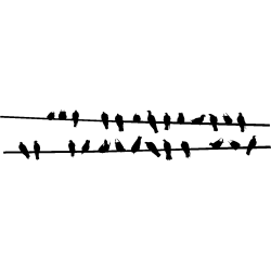 nuée