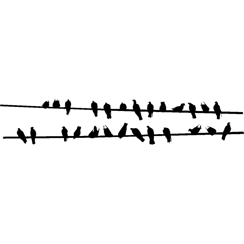 nuée