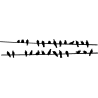 nuée