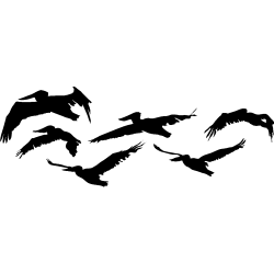 nuée