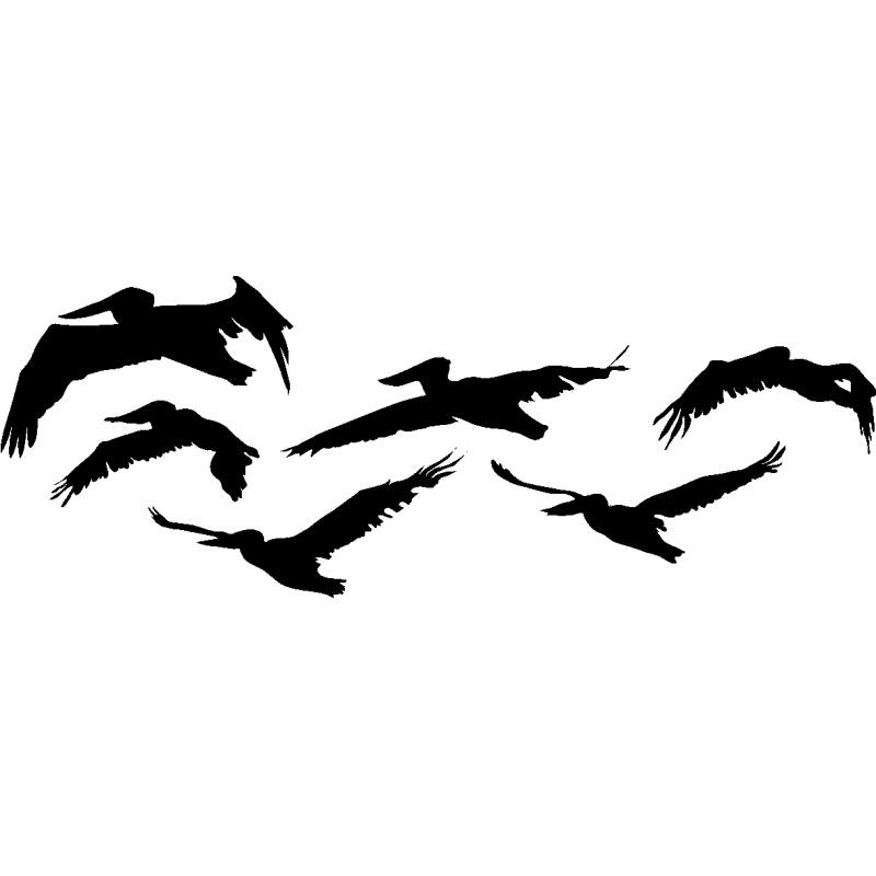 nuée