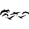 nuée