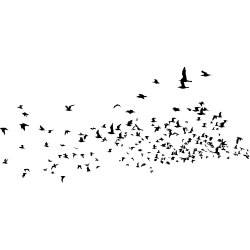 nuée