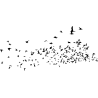 nuée