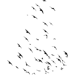 nuée