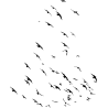 nuée