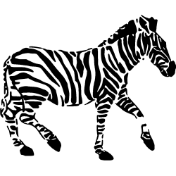 zebre