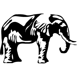 elephant
